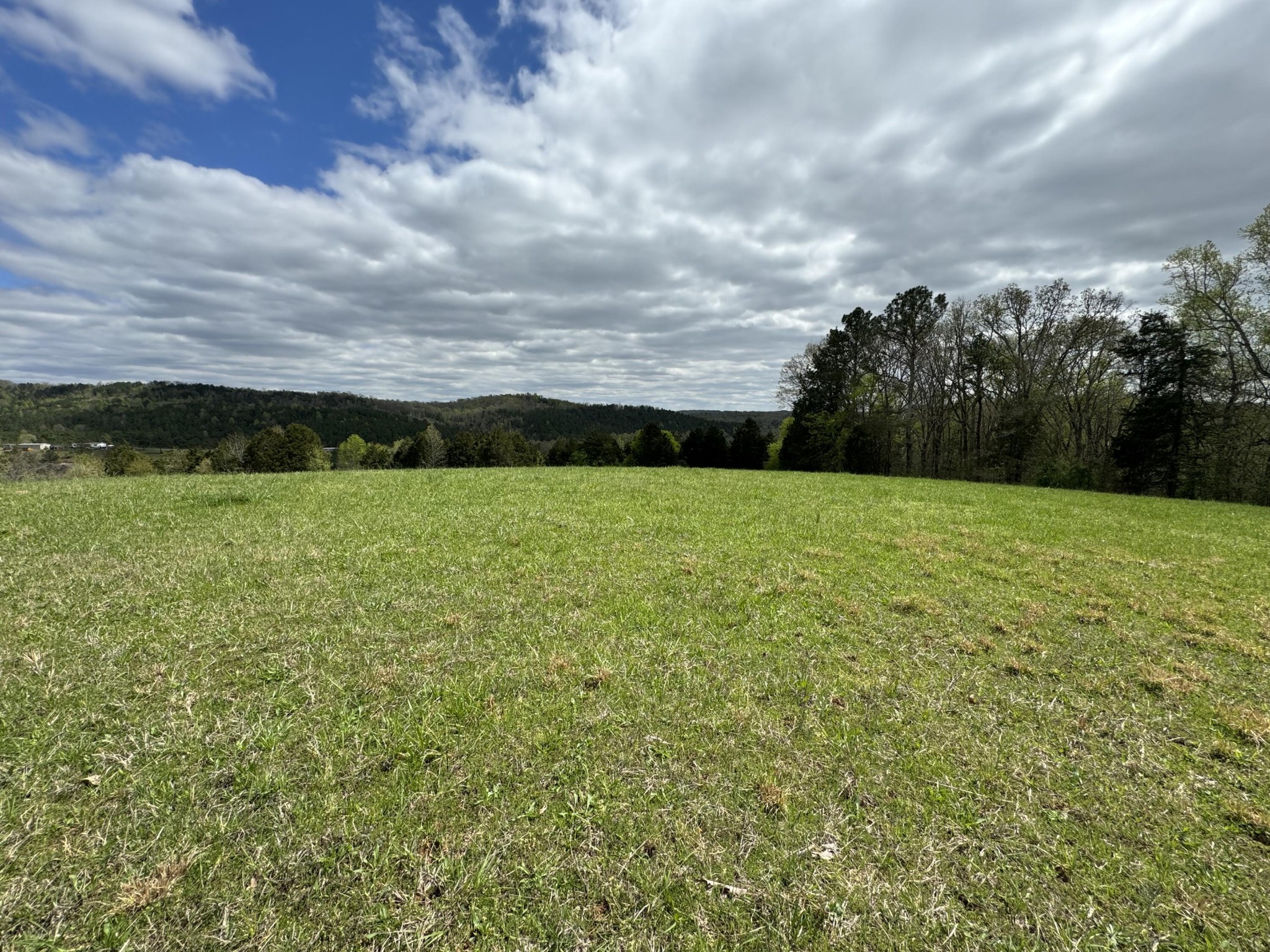 45 The Gates Drive Decatur, TN 37322 - Photo 3 of 11 Gallery Image 3