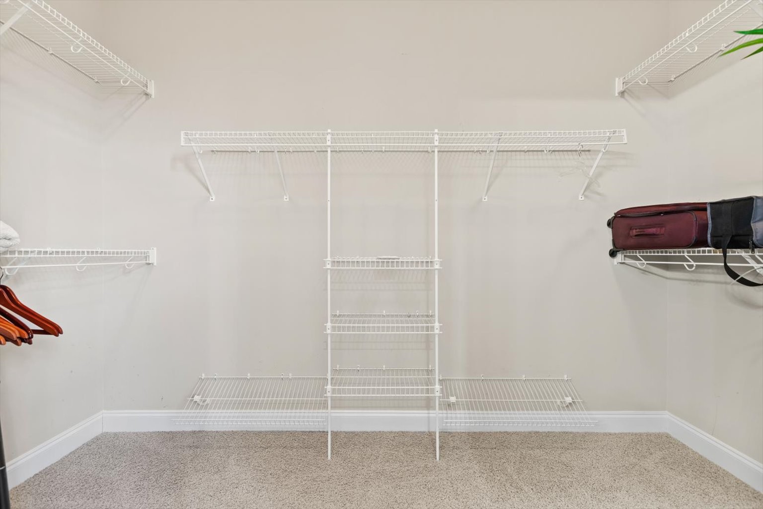 1114 Chickadee Circle Hermitage, TN 37076 - Photo 19 of 39 a view of walk in closet