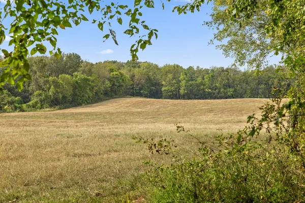 $495,000 | 10 Sturgeon Creek Road, Cedar Hill, TN 37032