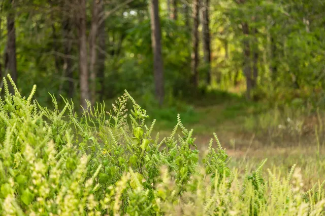 $495,000 | 10 Sturgeon Creek Road, Cedar Hill, TN 37032