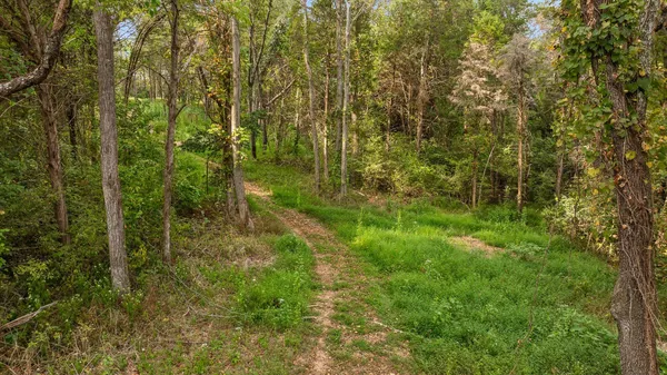 $495,000 | 10 Sturgeon Creek Road, Cedar Hill, TN 37032