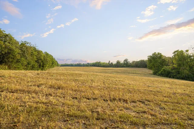 $495,000 | 10 Sturgeon Creek Road, Cedar Hill, TN 37032