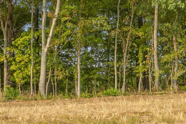 $495,000 | 10 Sturgeon Creek Road, Cedar Hill, TN 37032