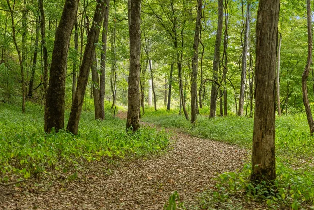 $495,000 | 10 Sturgeon Creek Road, Cedar Hill, TN 37032