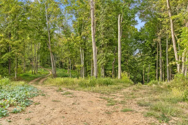 $495,000 | 10 Sturgeon Creek Road, Cedar Hill, TN 37032