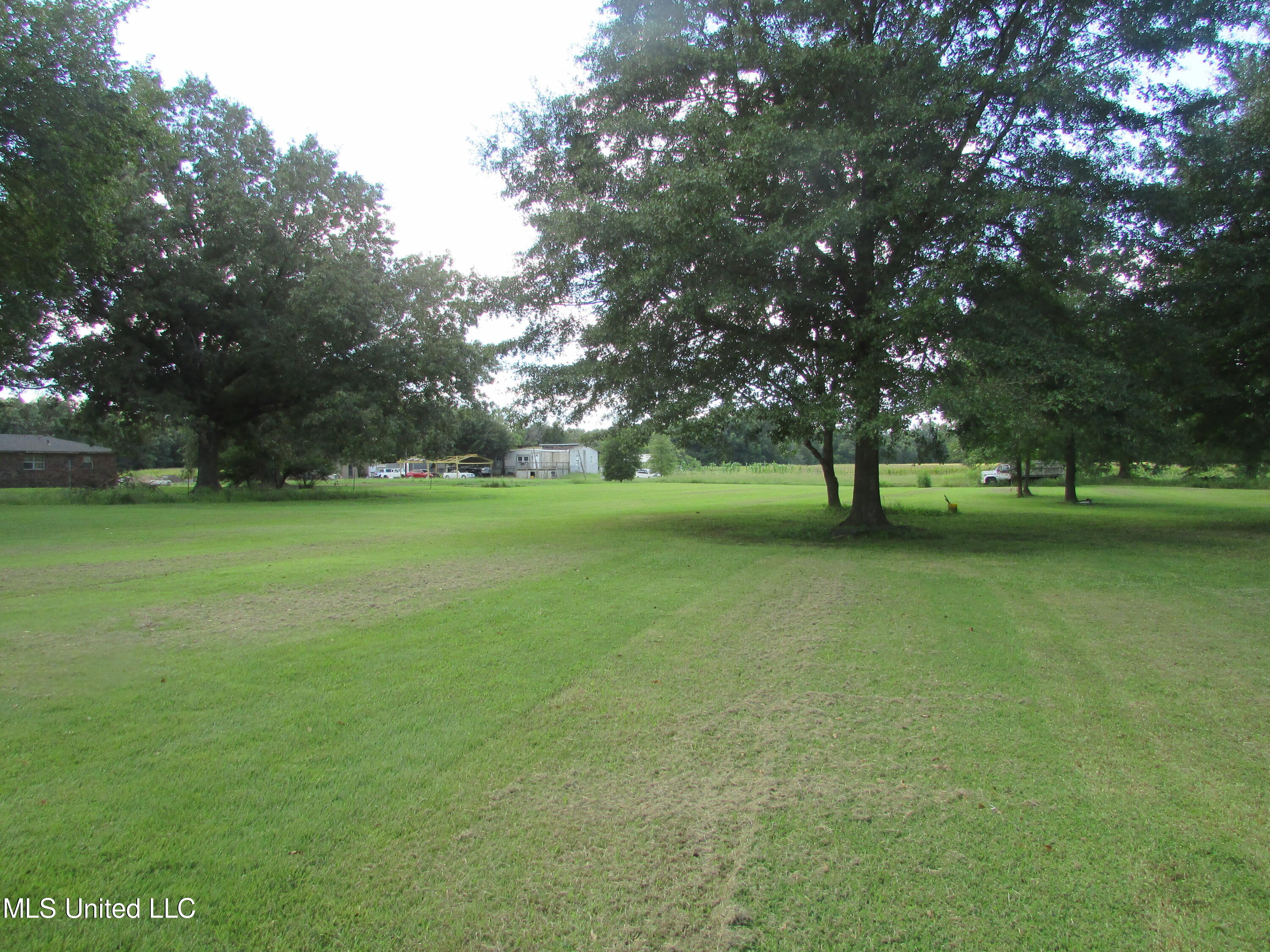 2245 Grass Pond Road Hernando, MS 38632 - Photo 8 of 26 View Backyard