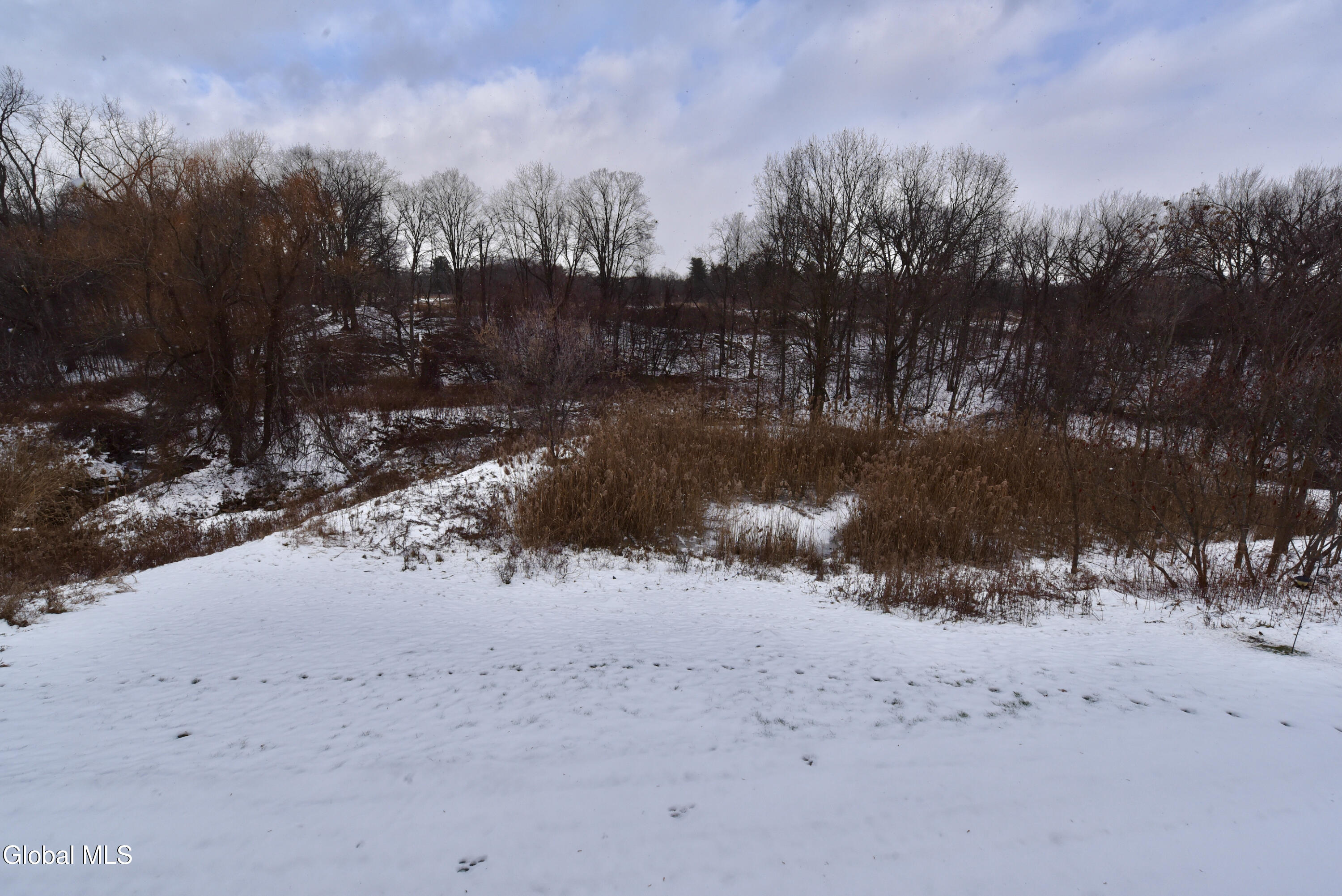 410 Cedar Run Rensselaer, NY 12144 - Photo 45 of 55 44