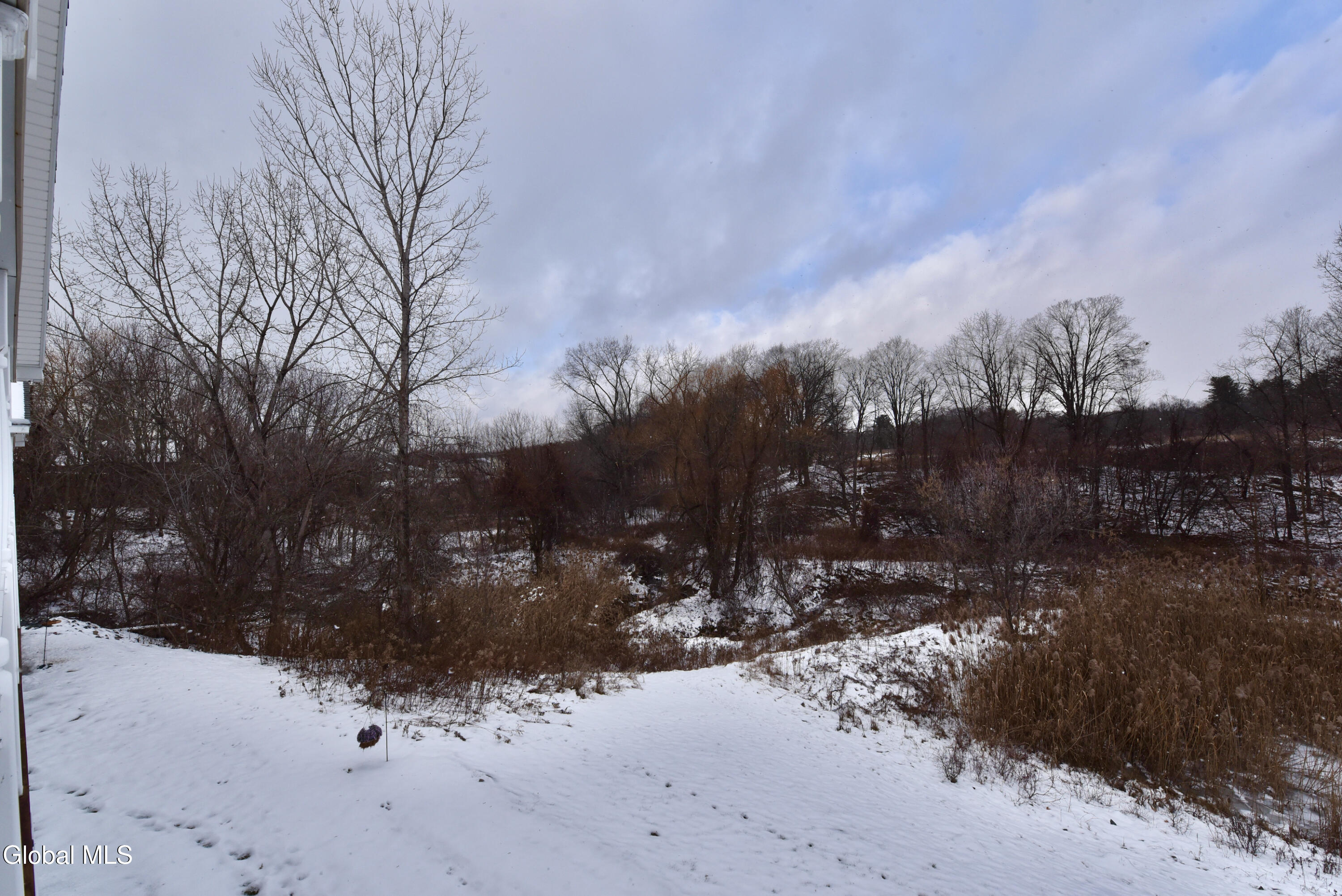 410 Cedar Run Rensselaer, NY 12144 - Photo 46 of 55 45