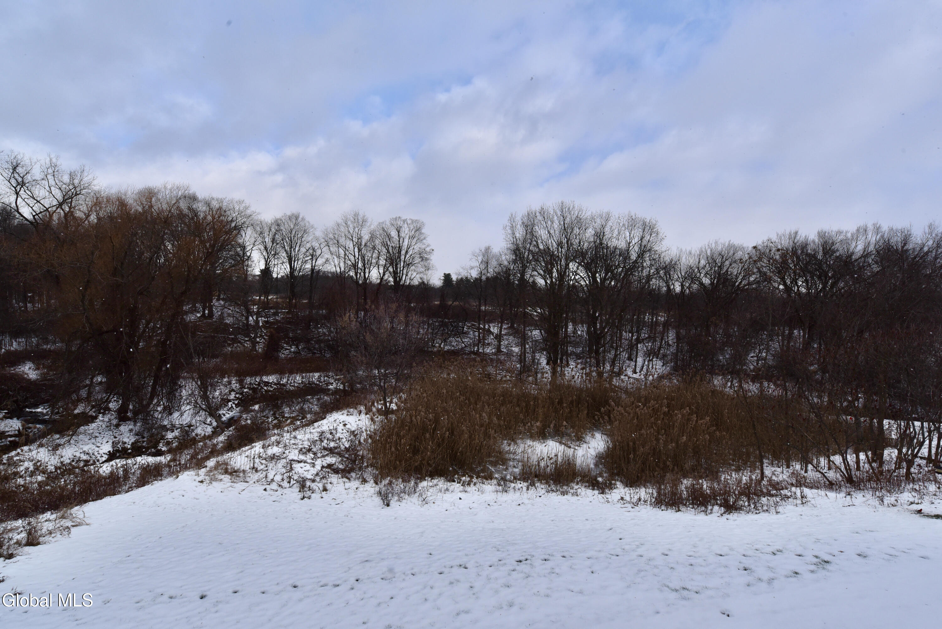 410 Cedar Run Rensselaer, NY 12144 - Photo 47 of 55 46