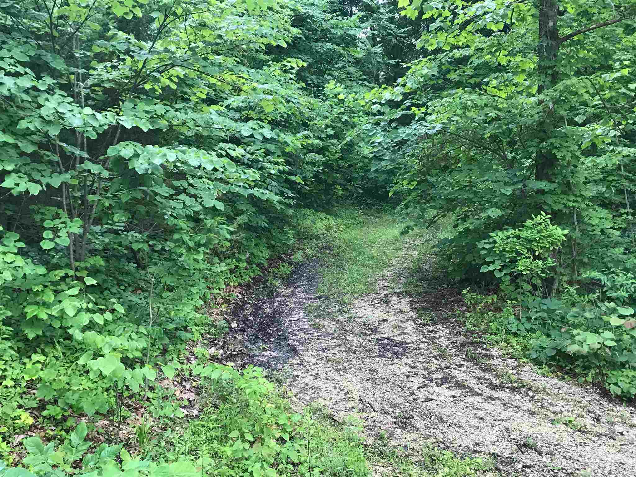 186 Kozy Fireplace Road Mitchell, IN 47446 - Photo 23 of 24