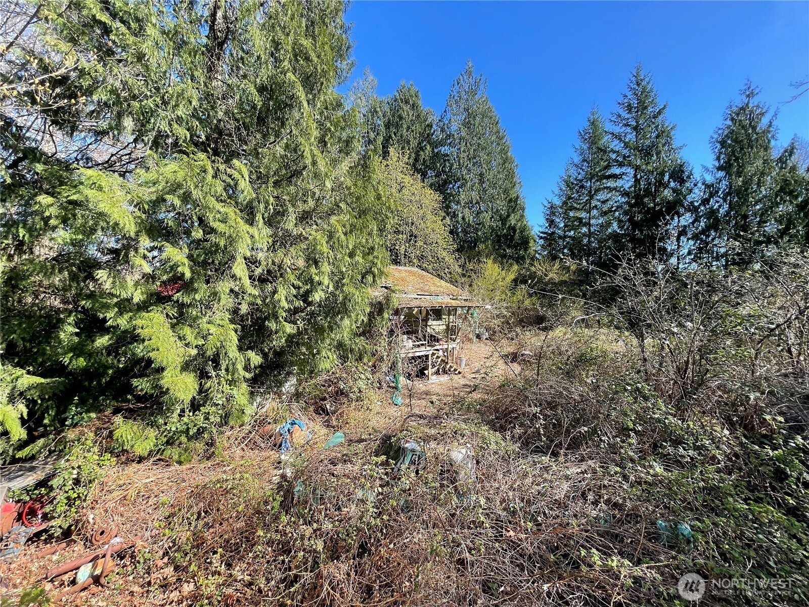 11808 Woods Lake Road Monroe, WA 98272 - Photo 8 of 11