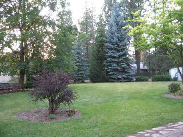 10023 North Ivanhoe Road Spokane, WA 99218 - Photo 9 of 9