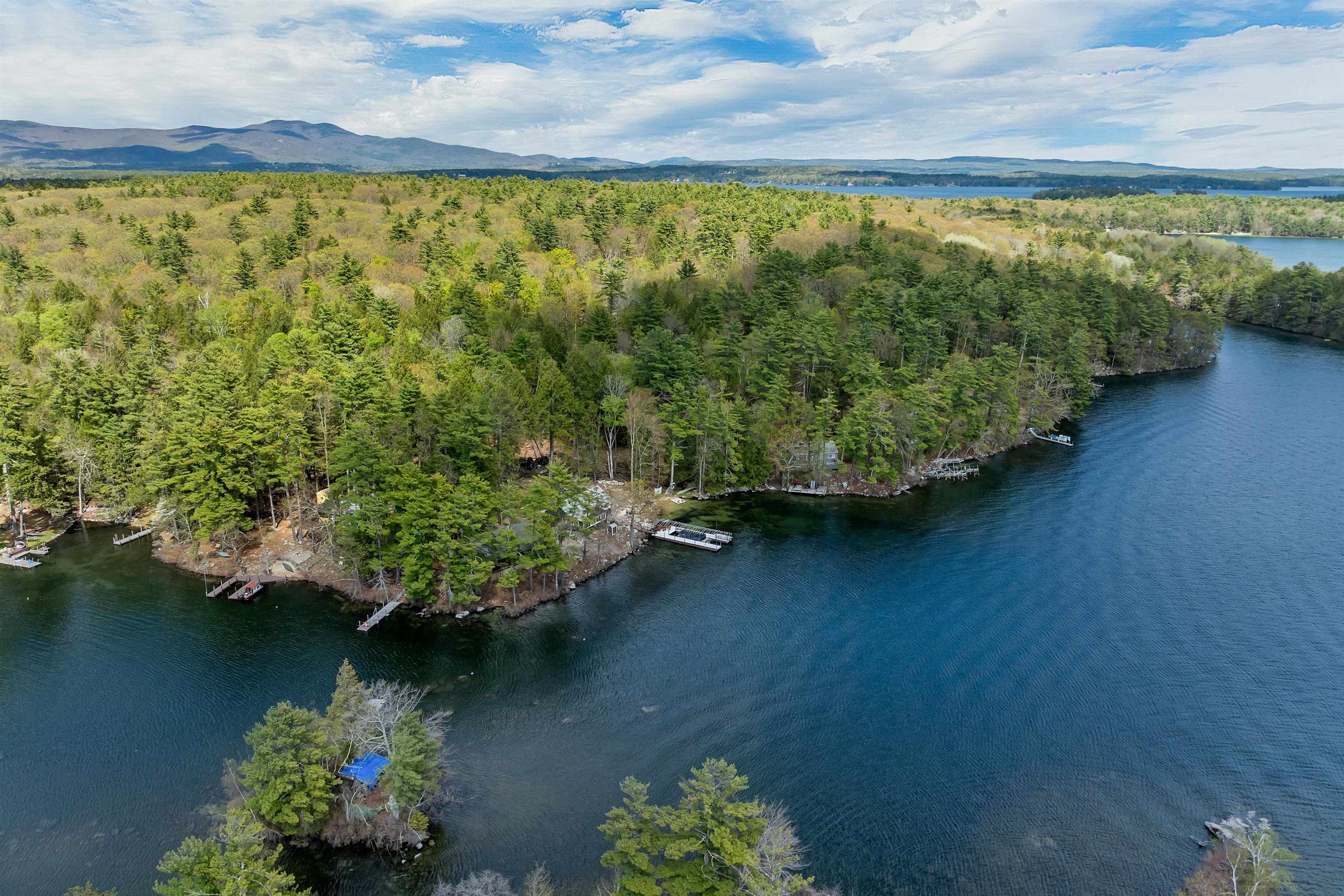 292 Bear Island Meredith, NH 03253 - Photo 40 of 42