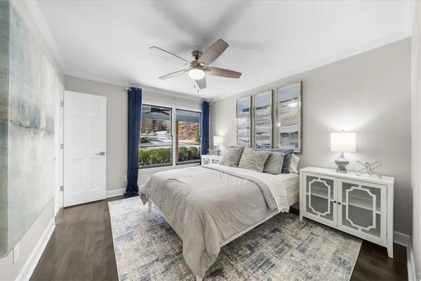 a view of park with large trees