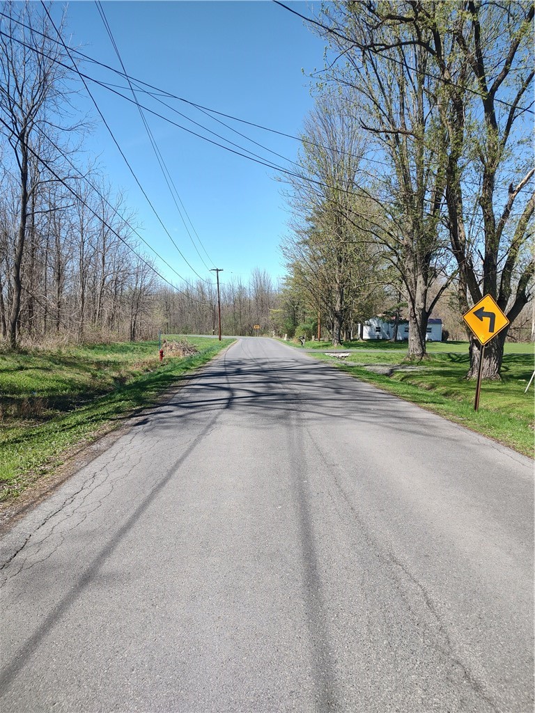 Clinton Street Seneca Falls, NY 13148 - Photo 5 of 17 ~ From Black Brook Road Looking East on Clinton St
