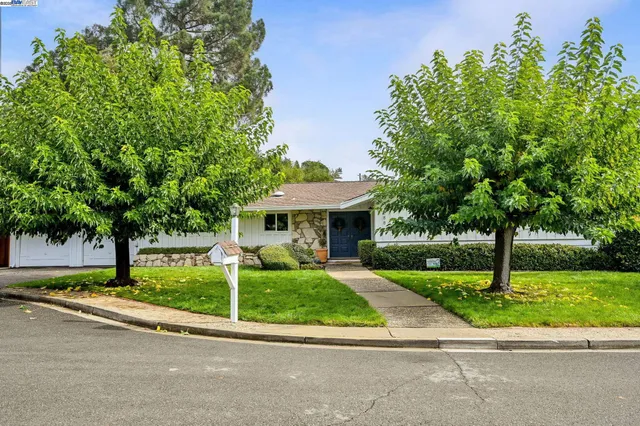 a view of a garden with a tree