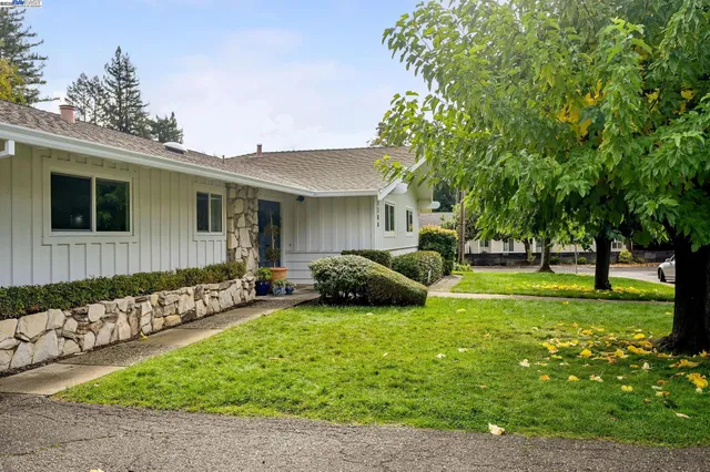 a view of a house with backyard and a tree