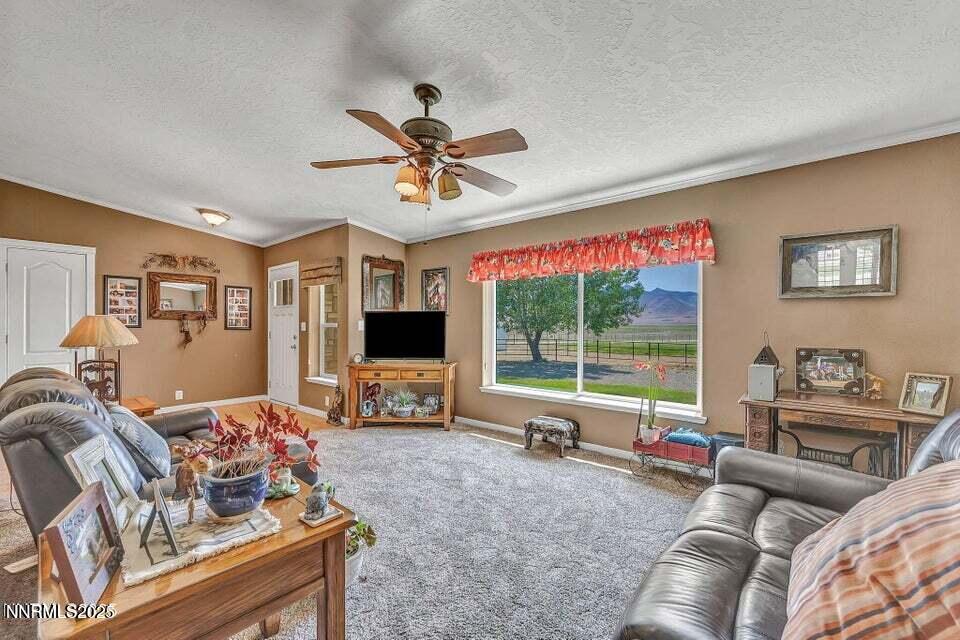 2505 Baines Road Winnemucca, NV 89445 - Photo 18 of 45 a living room with furniture and a flat screen tv
