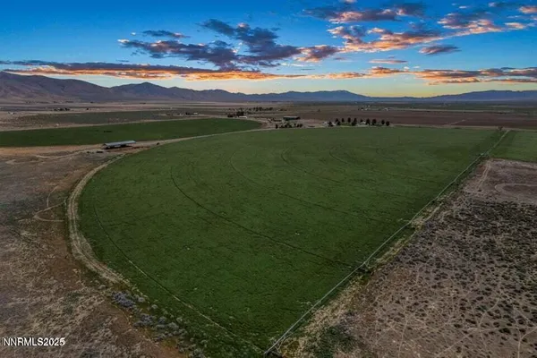 a view of a grassy field with an ocean