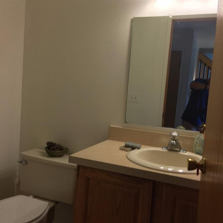 3963 Ramsgate Court Ann Arbor, MI 48103 - Photo 23 of 24 Photo 23