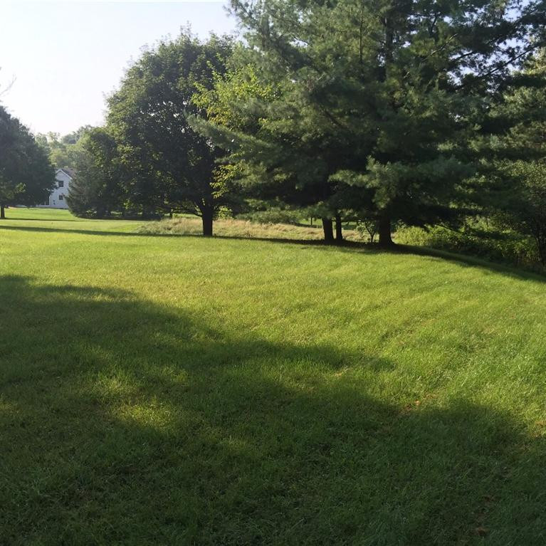 3963 Ramsgate Court Ann Arbor, MI 48103 - Photo 3 of 24 Photo 3
