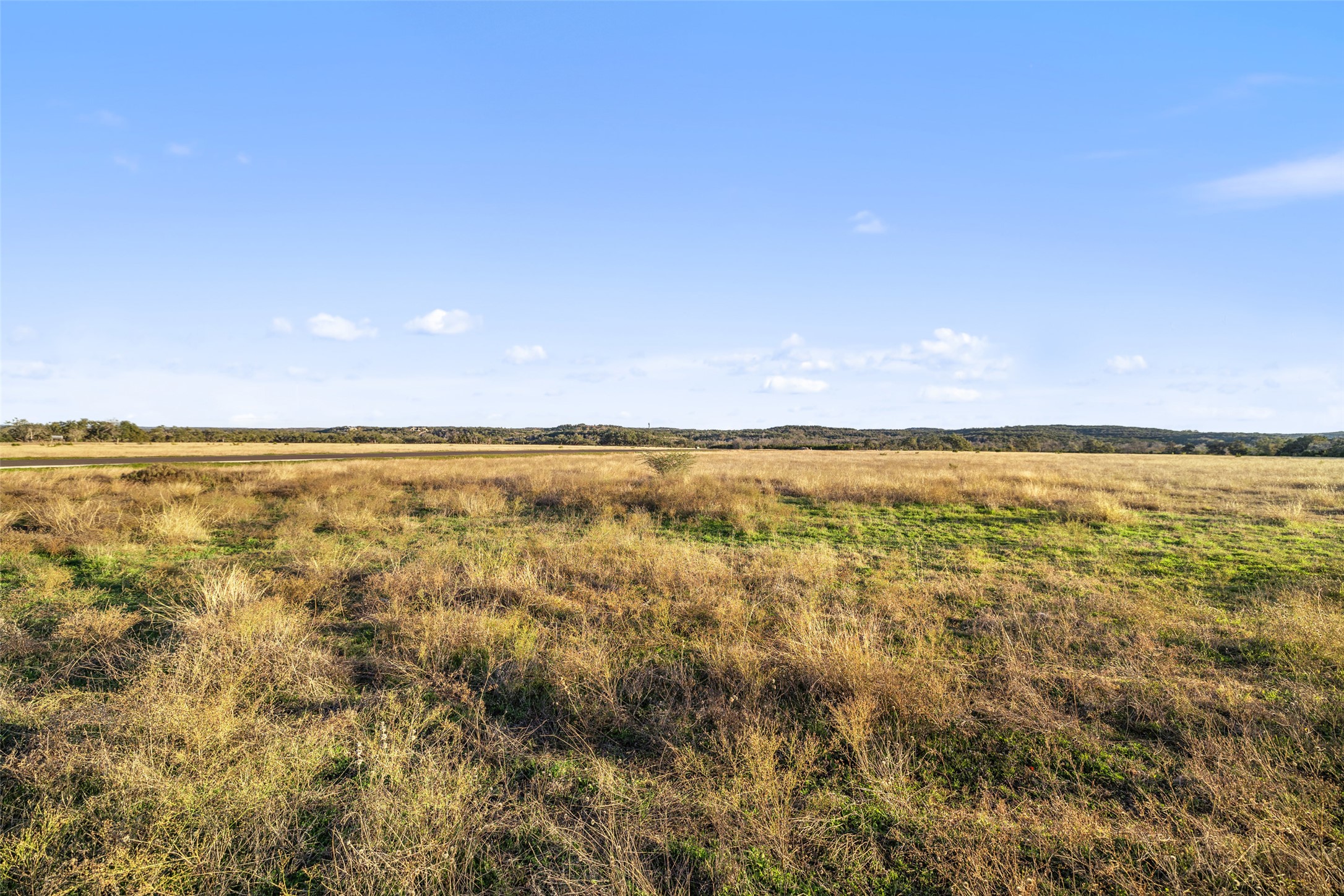 Lot 3 West Fitzhugh Road Dripping Springs, TX 78620 - Photo 6 of 7 Vast open pastures invite possibilities for agricultural endeavors or a private retreat.