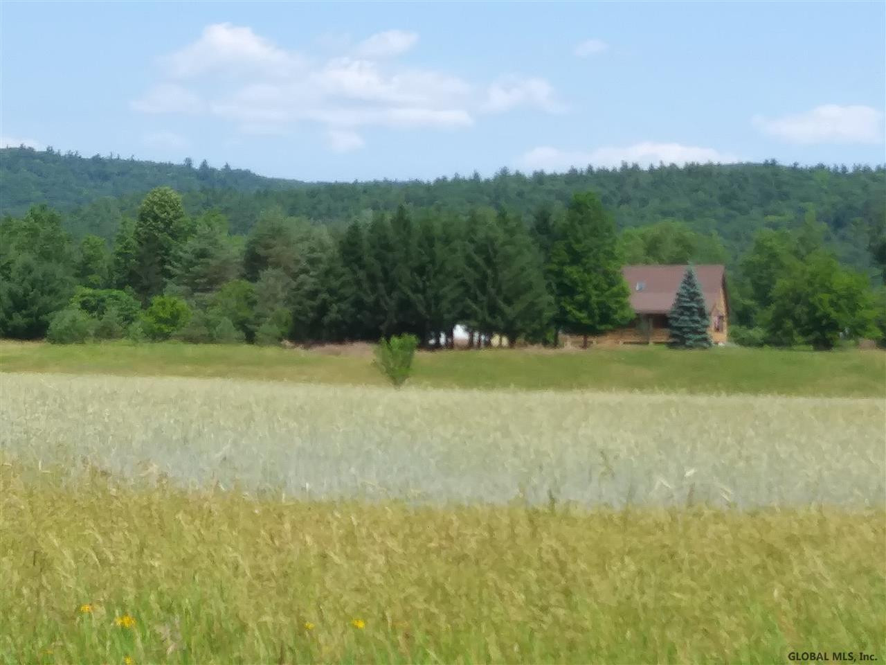 94 Breed Hill Road Crown Point, NY 12928 - Photo 3 of 35 Photo 3