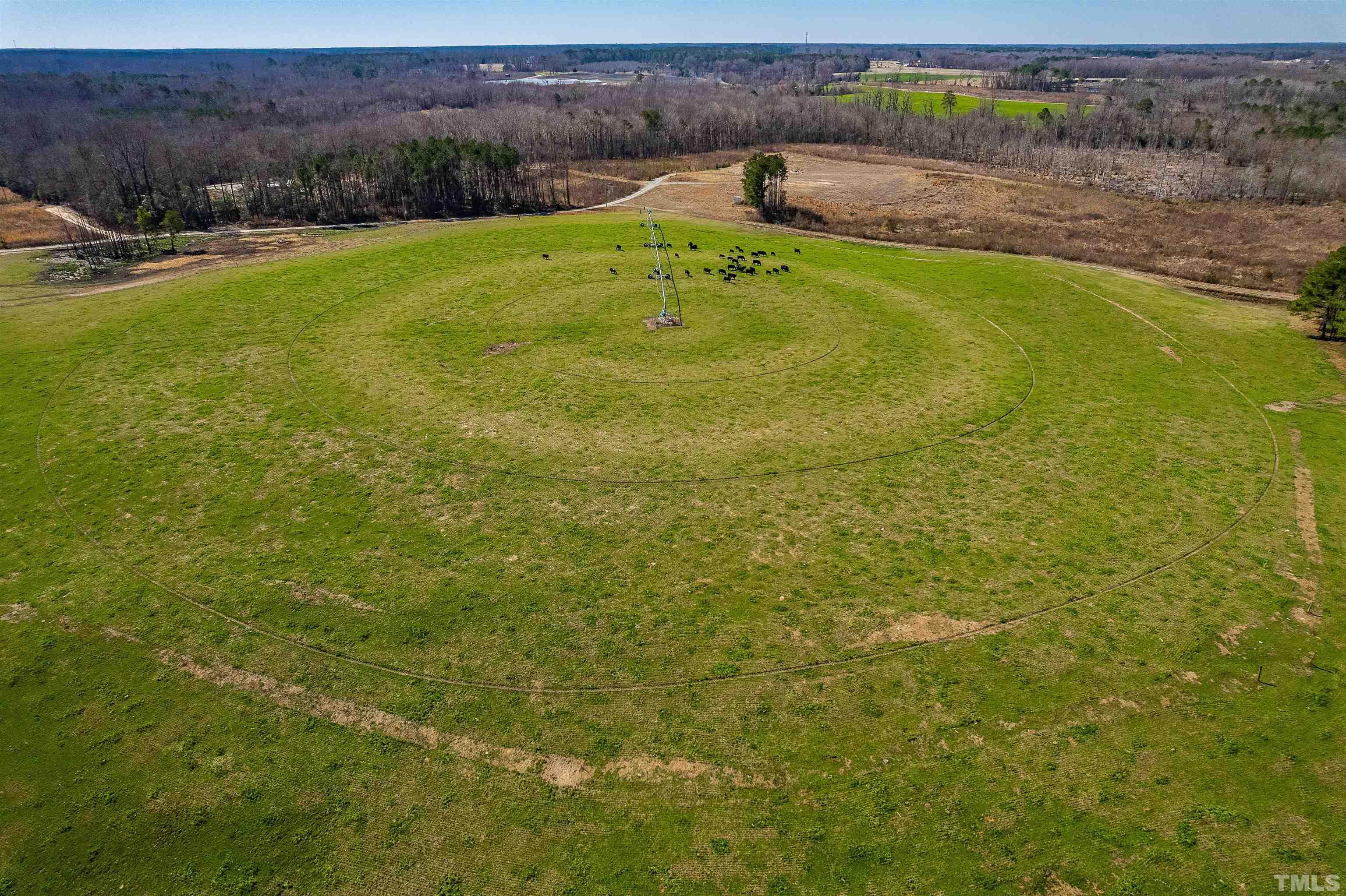 8132 Harper House Road Newton Grove, NC 28366 - Photo 6 of 8 Gallery Image 6
