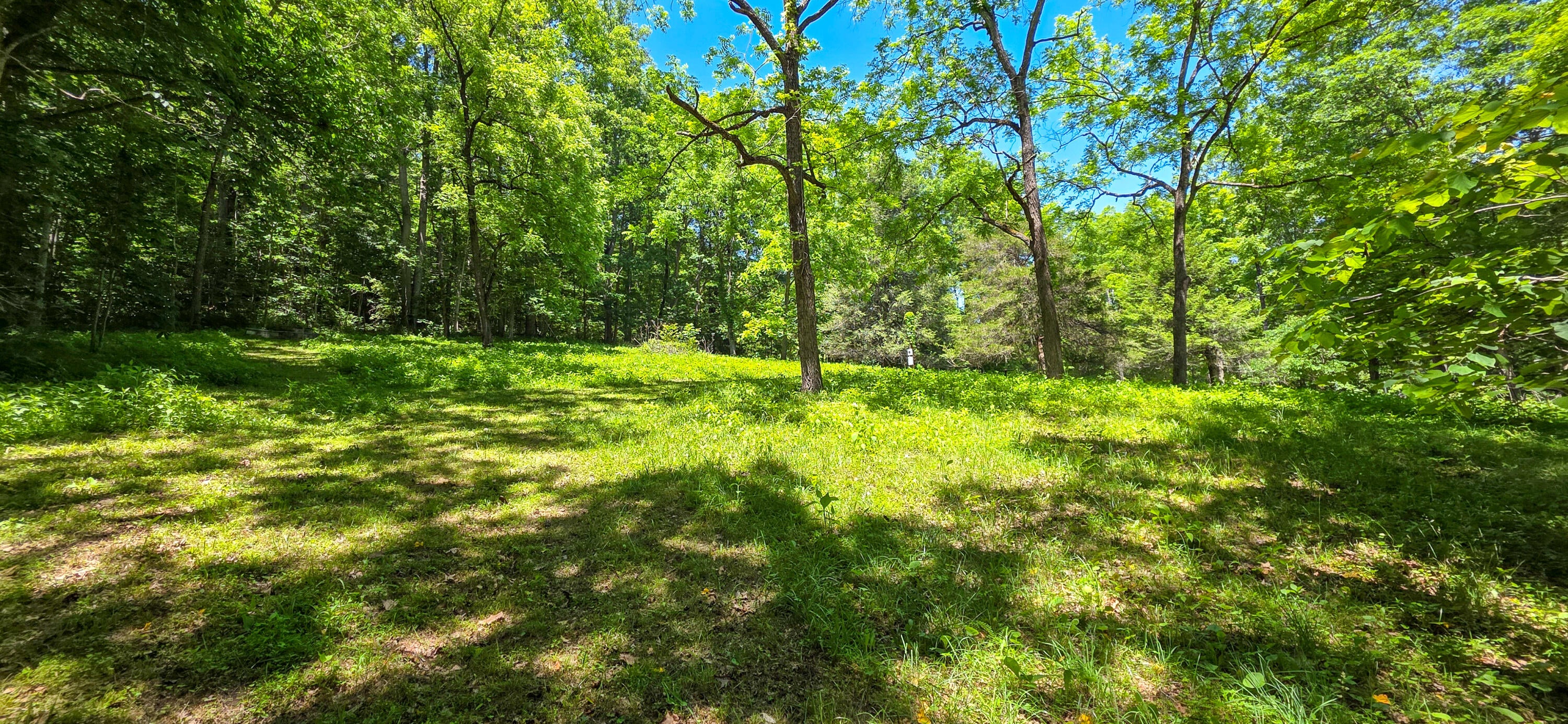 Big Creek Road Hinton, WV 25951 - Photo 12 of 18 Gallery Image 12