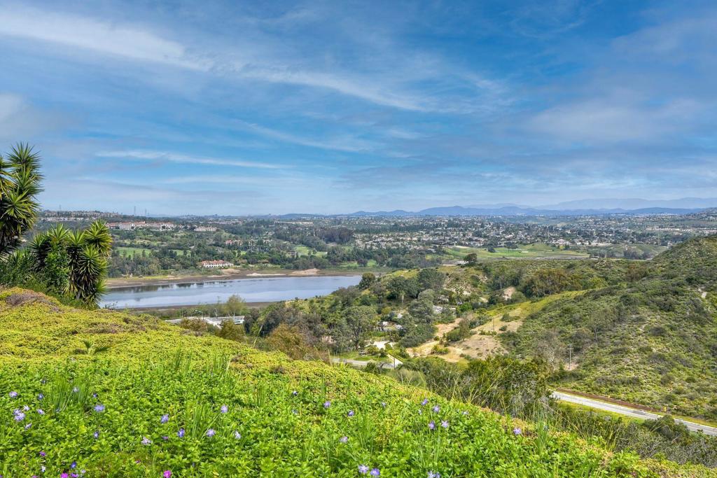 1729 Gascony Road Encinitas, CA 92024 - Photo 4 of 31 View from HOA property Behind the Home