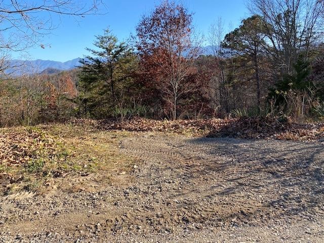1025 Yellow Breeches Road Cosby, TN 37722 - Photo 49 of 49
