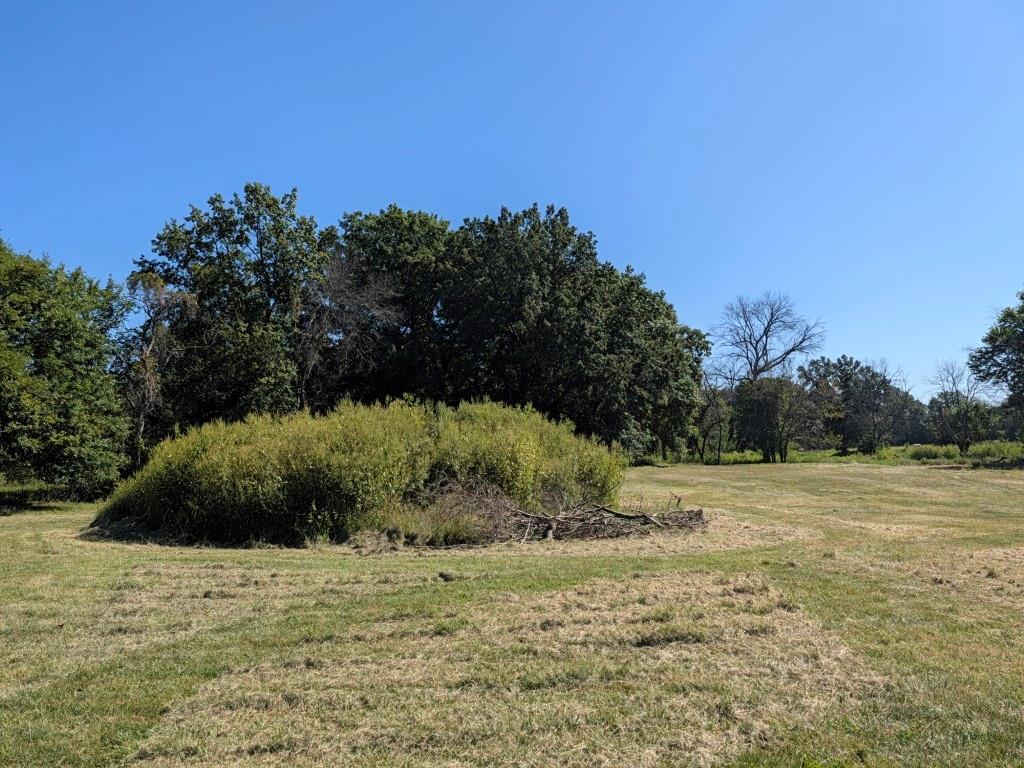 South Cave Road Oak Grove, MO 64075 - Photo 9 of 12 Gallery Image 9