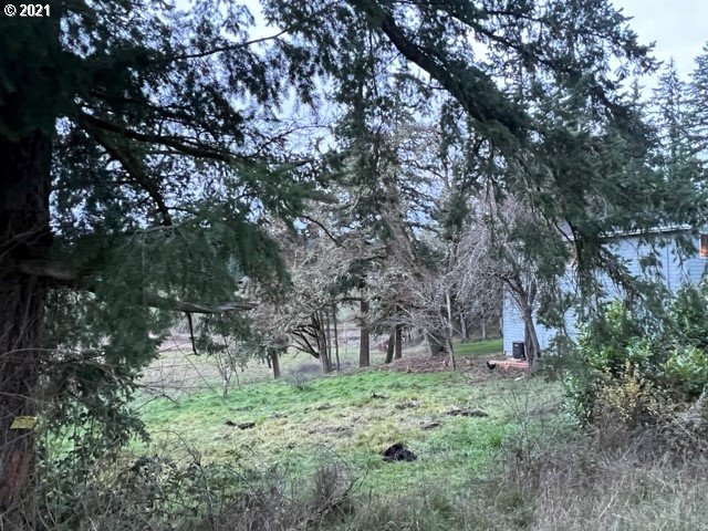 83490 Rattlesnake Road Dexter, OR 97431 - Photo 24 of 27 a backyard of a house with lots of green space