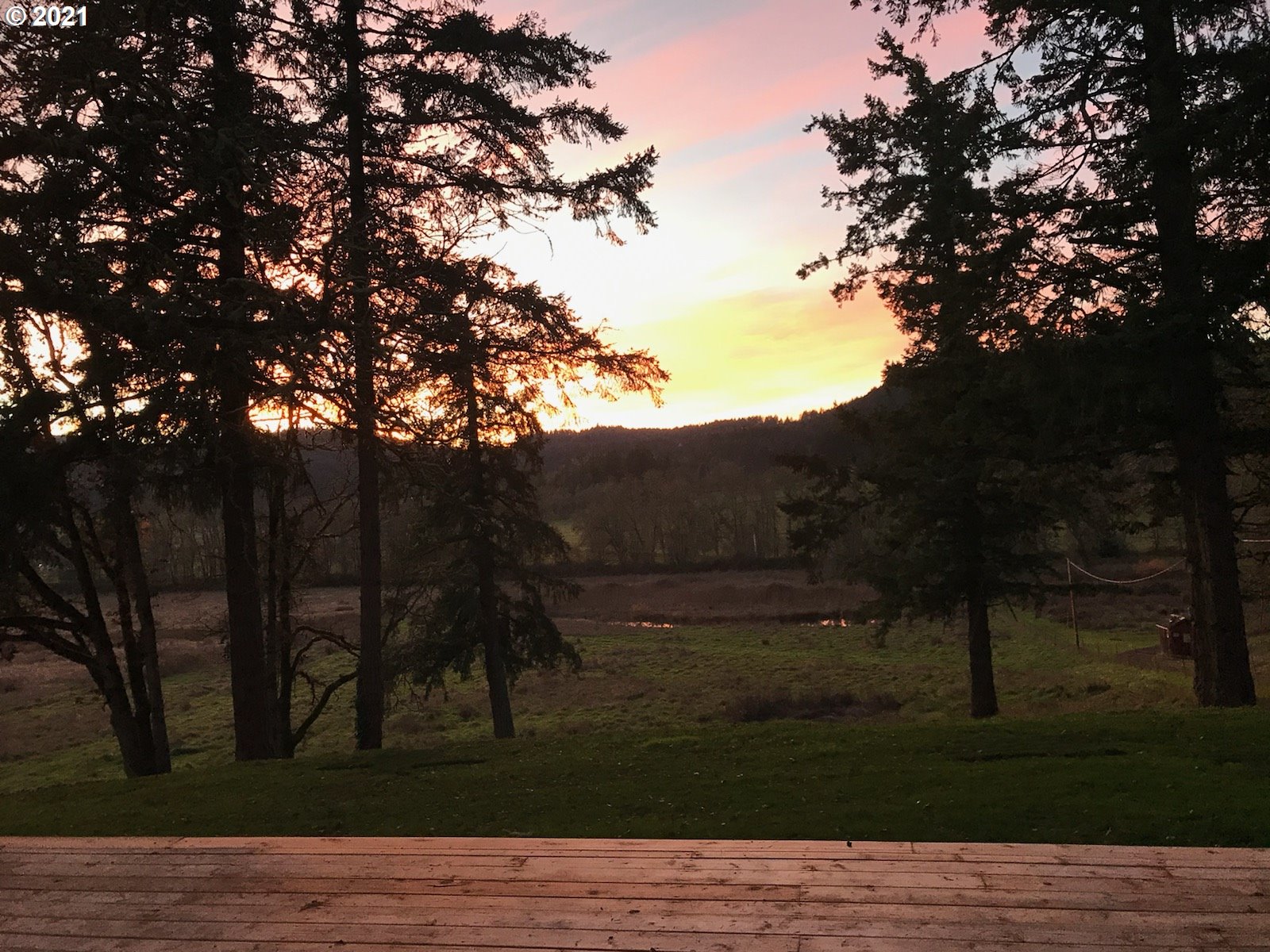 83490 Rattlesnake Road Dexter, OR 97431 - Photo 25 of 27 a view of outdoor space and yard