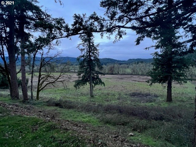 83490 Rattlesnake Road Dexter, OR 97431 - Photo 4 of 27 a view of a tree in a yard