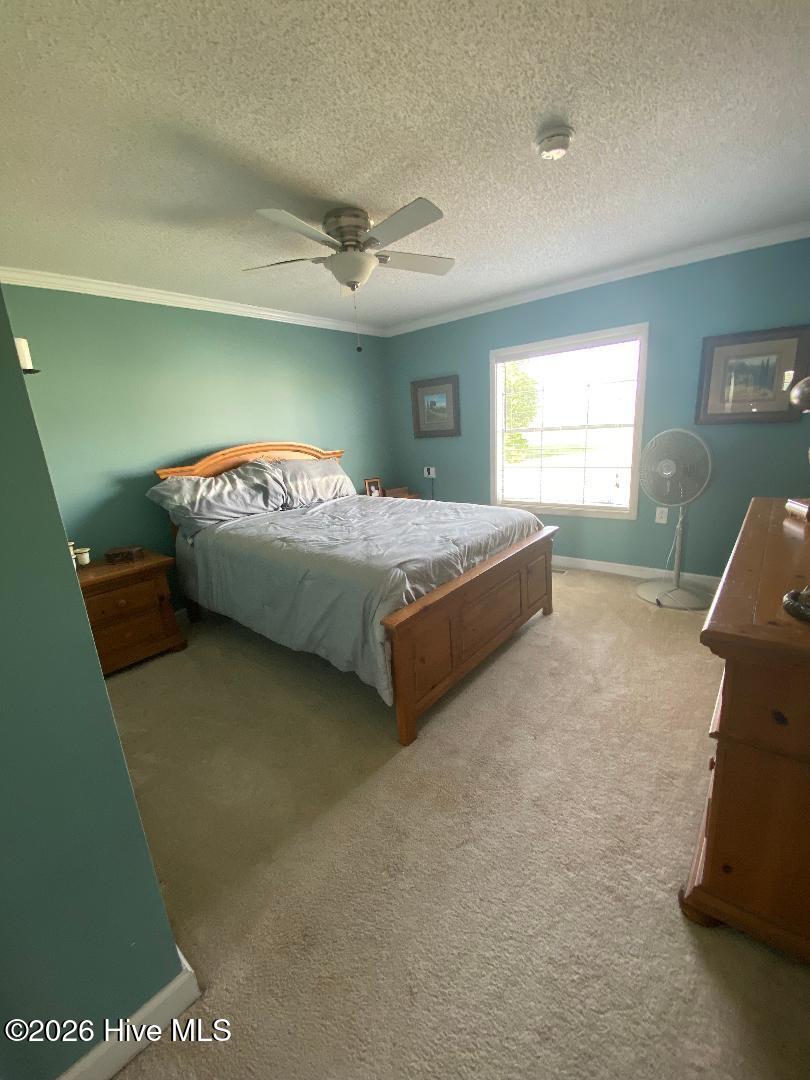 6740 Stantonsburg Road Farmville, NC 27828 - Photo 10 of 21 Bedroom 2