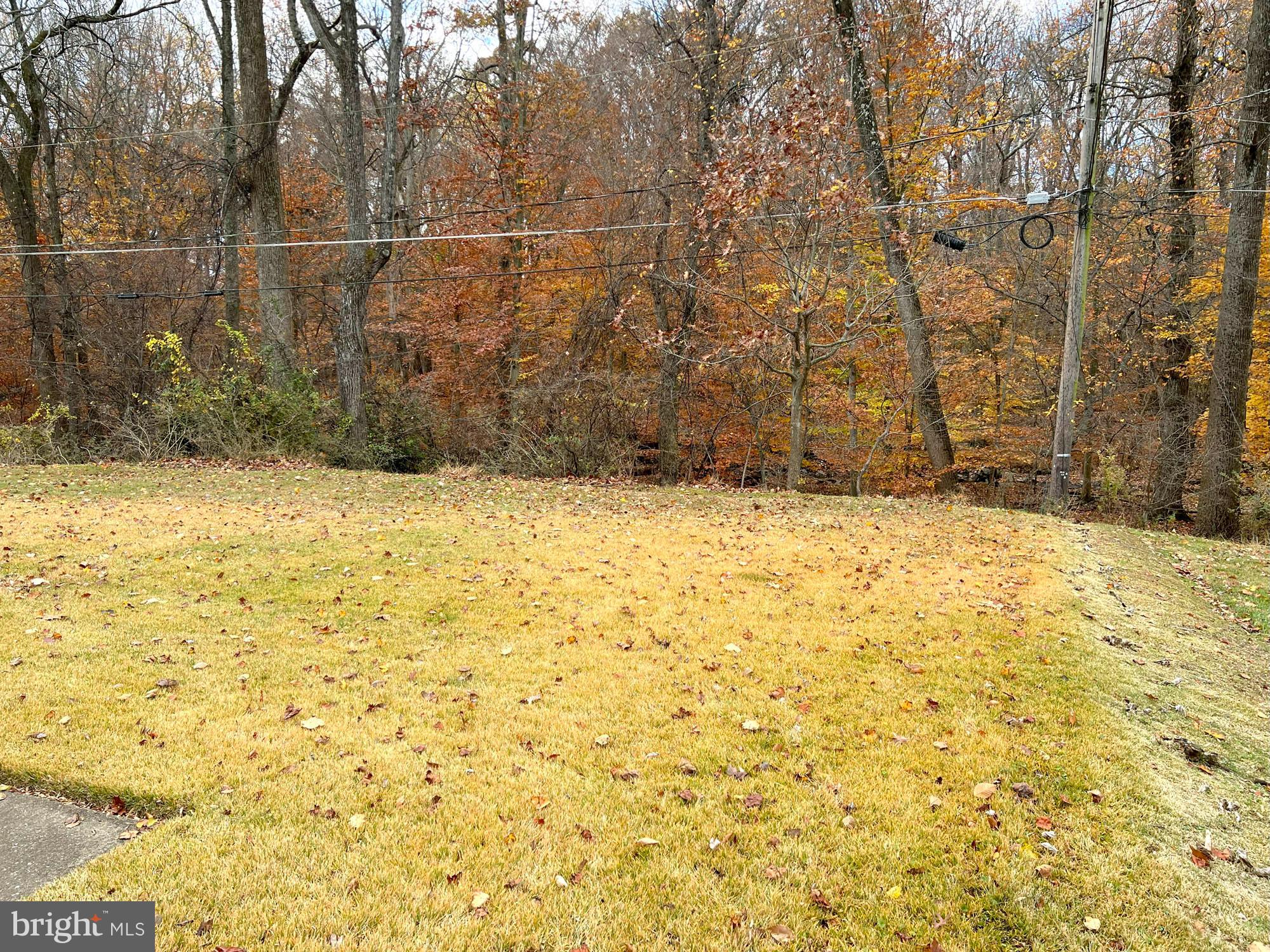 4729 Byron Road Windsor Mill, MD 21244 - Photo 3 of 21 a view of a yard