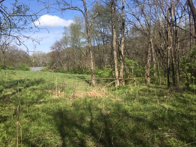 0 North Berrys Chapel Road Franklin, TN 37069 - Photo 1 of 13 Gallery Image 1