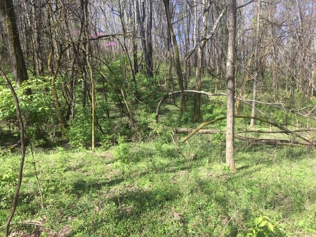 0 North Berrys Chapel Road Franklin, TN 37069 - Photo 11 of 13 Gallery Image 11
