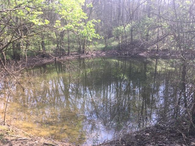 0 North Berrys Chapel Road Franklin, TN 37069 - Photo 3 of 13 Gallery Image 3