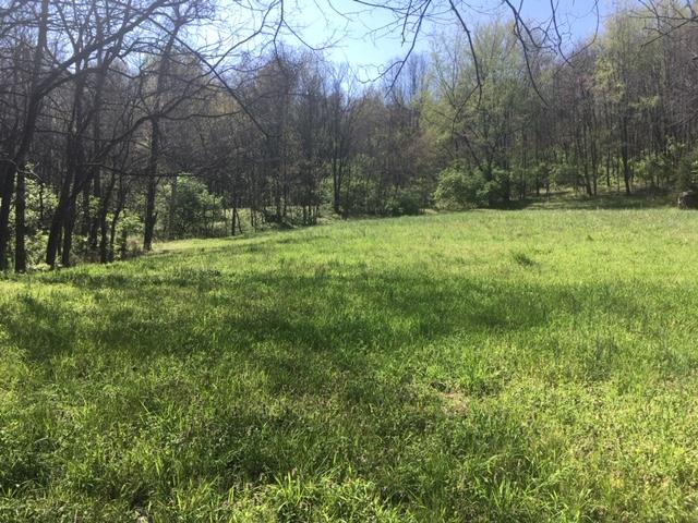 0 North Berrys Chapel Road Franklin, TN 37069 - Photo 5 of 13 Gallery Image 5