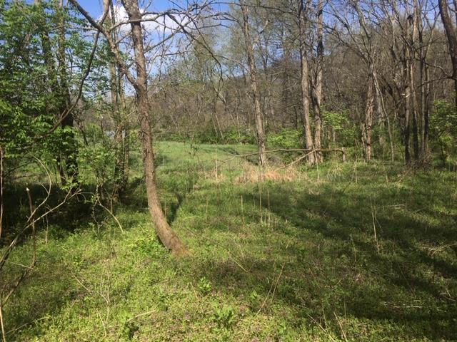 0 North Berrys Chapel Road Franklin, TN 37069 - Photo 7 of 13 Gallery Image 7