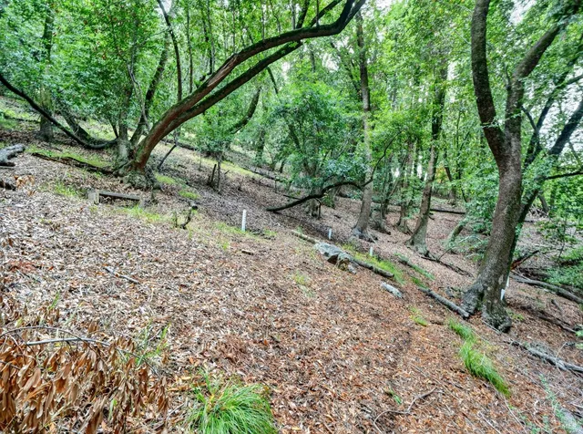 a view of a lush green hillside and houses