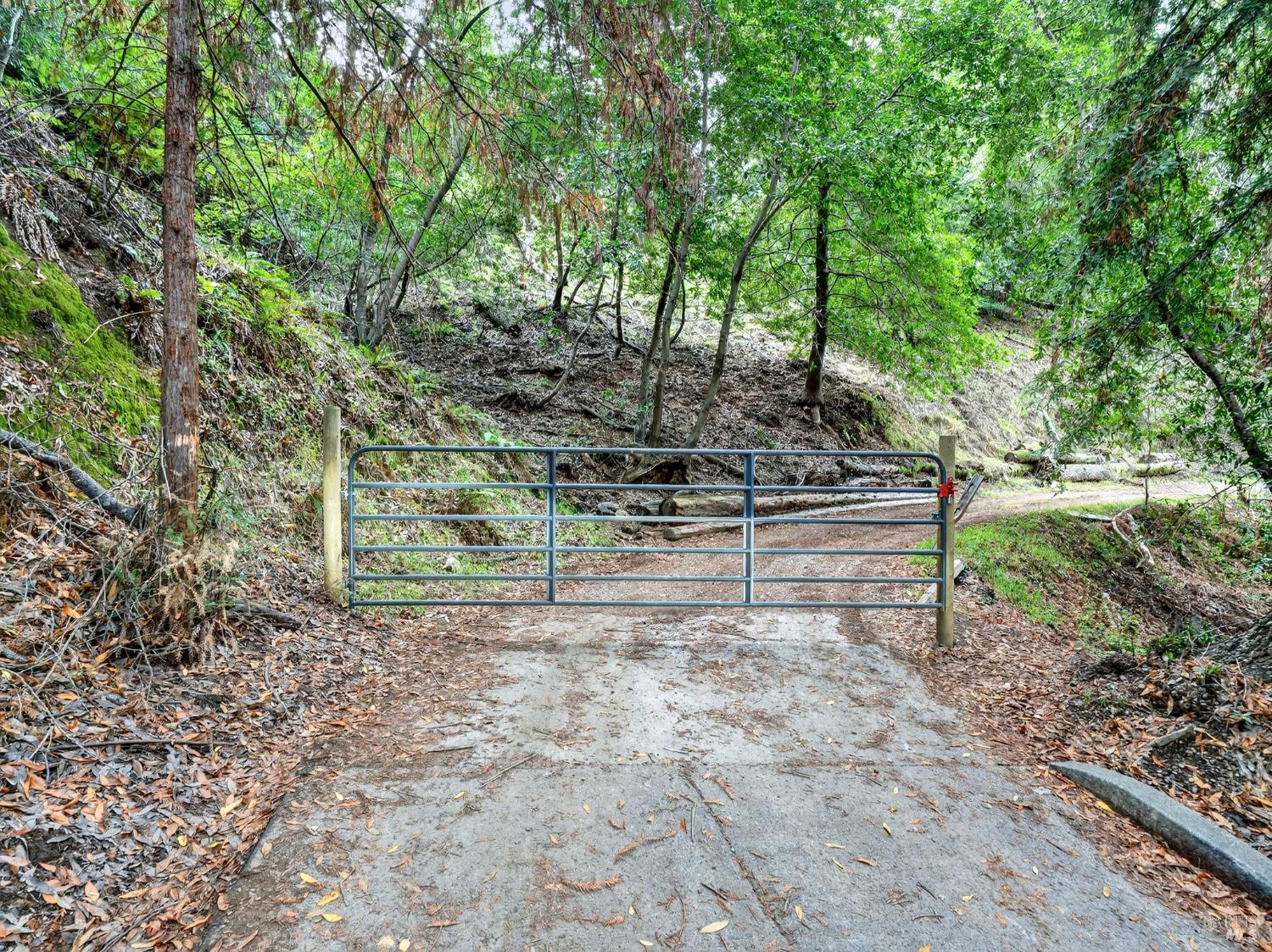 31 Red Rock Way San Rafael, CA 94903 - Photo 2 of 16 a backyard of a house with lots of green space