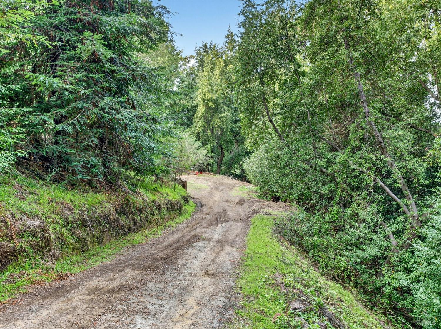 31 Red Rock Way San Rafael, CA 94903 - Photo 6 of 16 a view of a large yard with lots of green space
