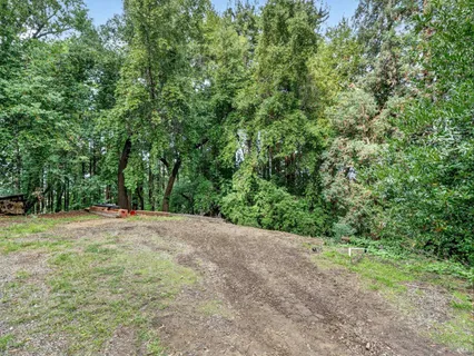 a view of a yard with a tree