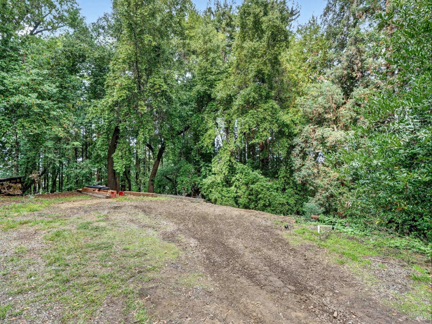 31 Red Rock Way San Rafael, CA 94903 - Photo 7 of 16 a view of a yard with a tree