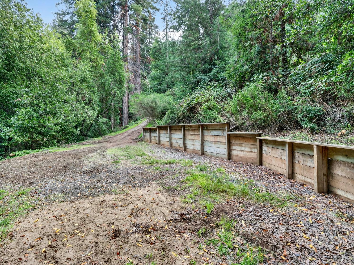 31 Red Rock Way San Rafael, CA 94903 - Photo 9 of 16 a view of a backyard with trees