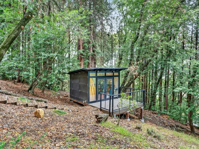 a view of backyard with plants and large trees