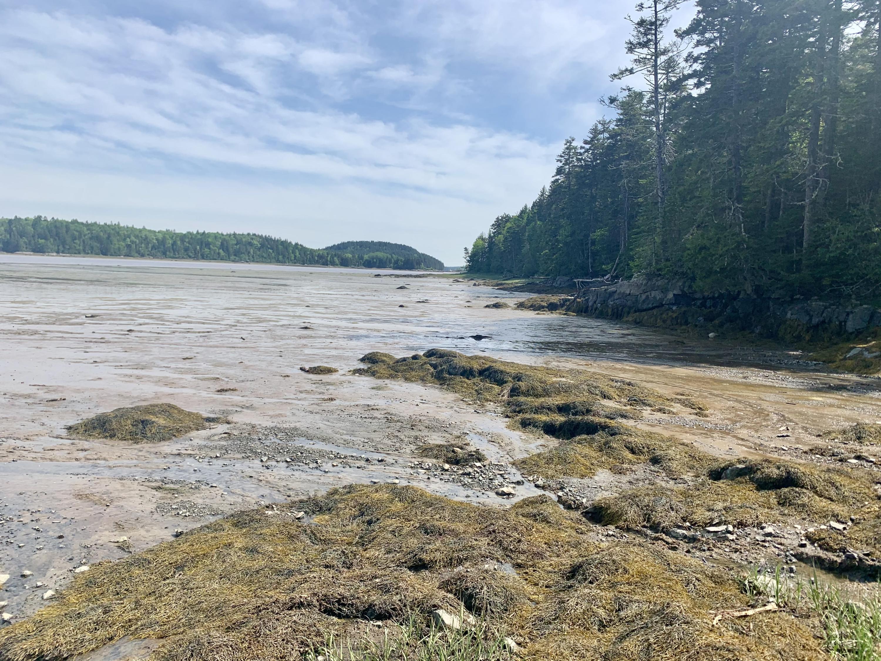 2 Holway Point Road Machias, ME 04654 - Photo 6 of 13 IMG_5730